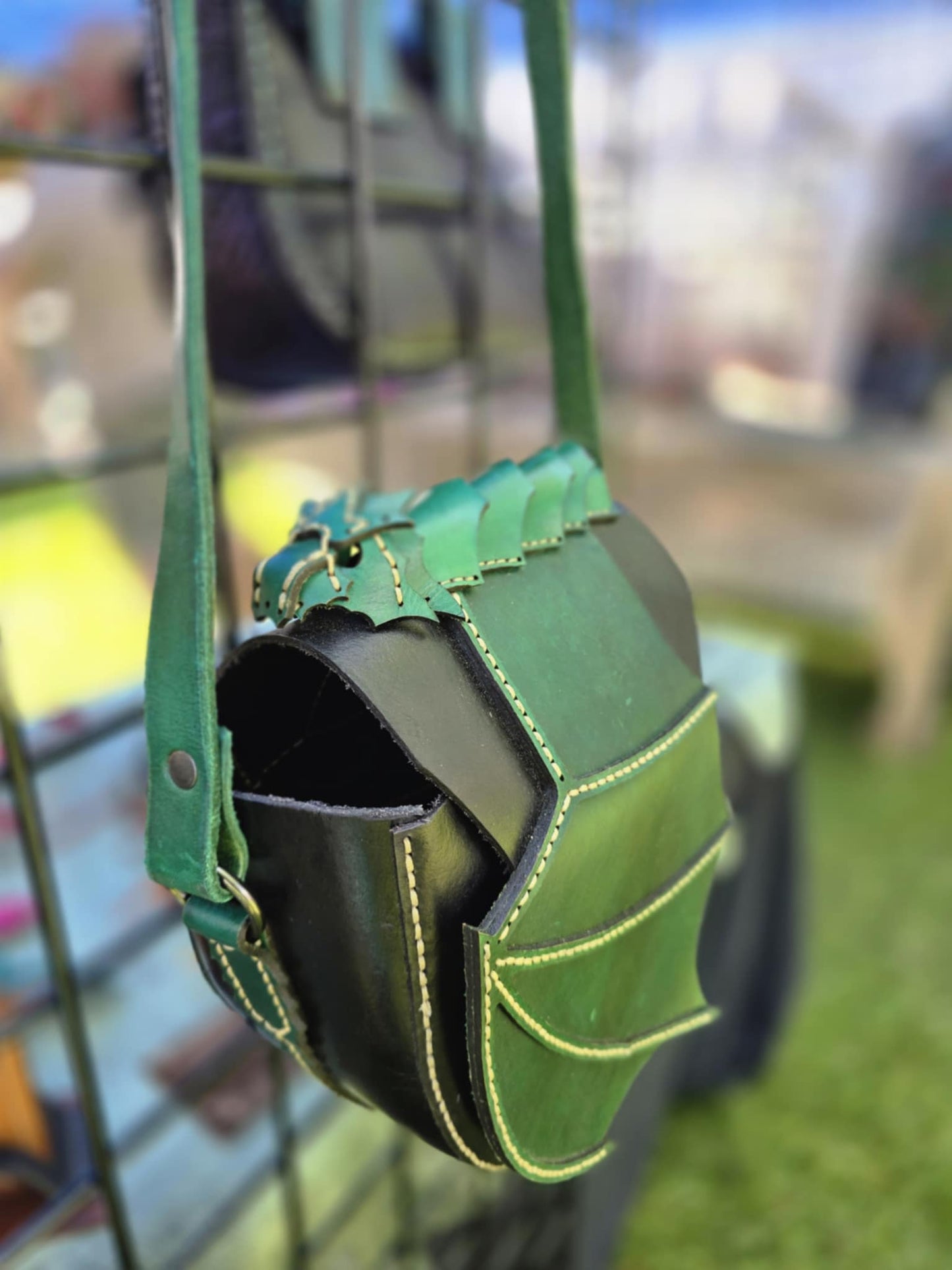 Hoardkeeper dragon bag